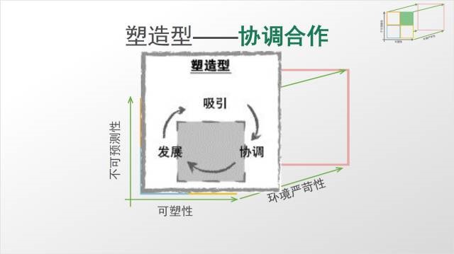 澳门3中3资料